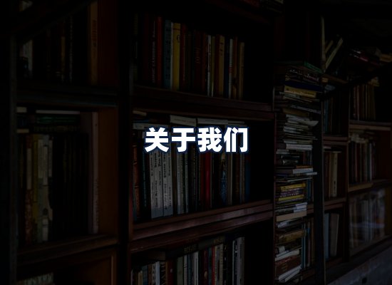 关于我们